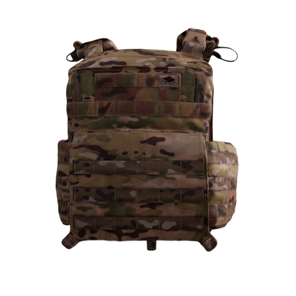 AAPC Mod.3